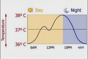 Temperatura corporea normale
